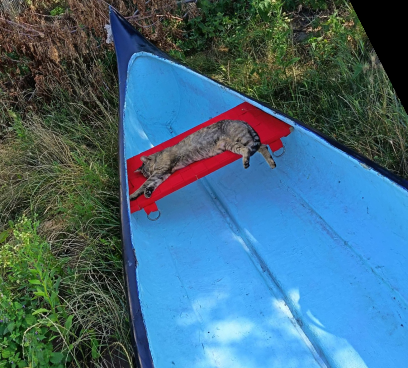 Marcal, evezés, Győr, Győr környéke, vizitura, kajak, kenu, kiscsoport, erdőmerülés, természetcoach