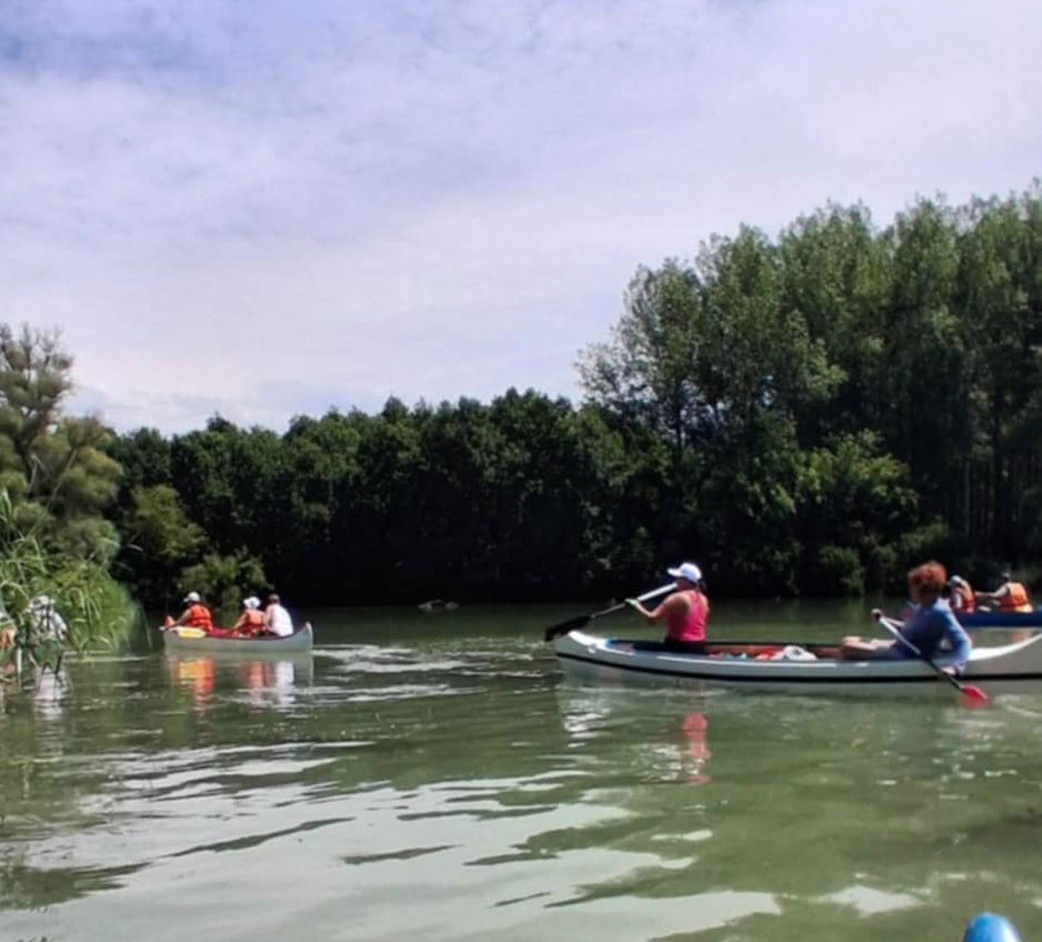 Marcal, evezés, Győr, Győr környéke, vizitura, kajak, kenu, kiscsoport, erdőmerülés, természetcoach