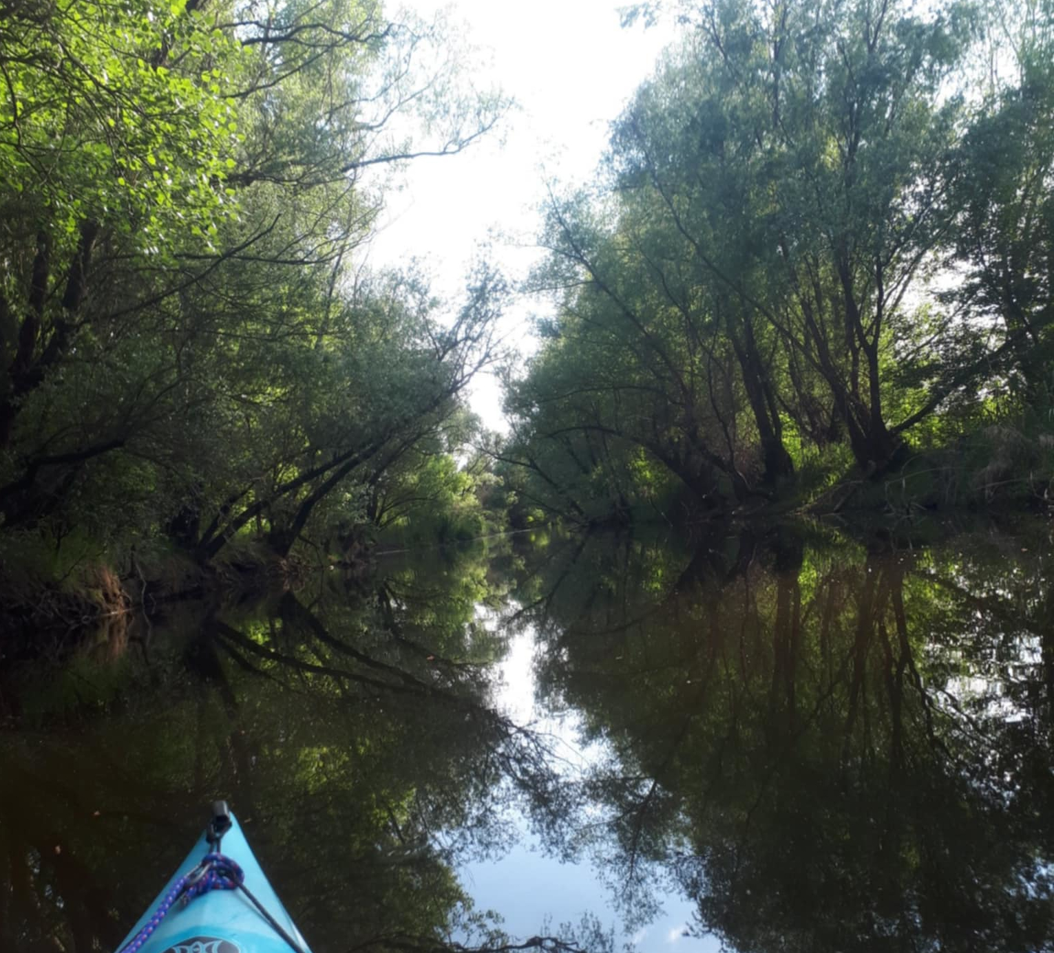 Marcal, evezés, Győr, Győr környéke, vizitura, kajak, kenu, kiscsoport, erdőmerülés, természetcoach